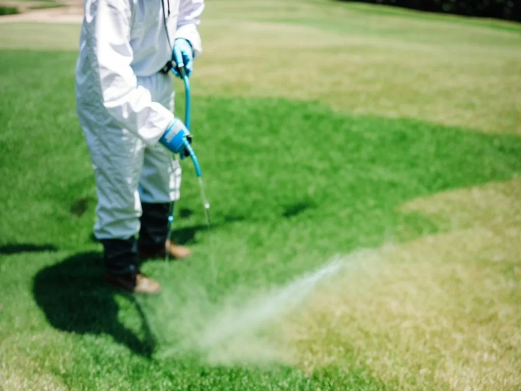 Spray Painting Your Lawn